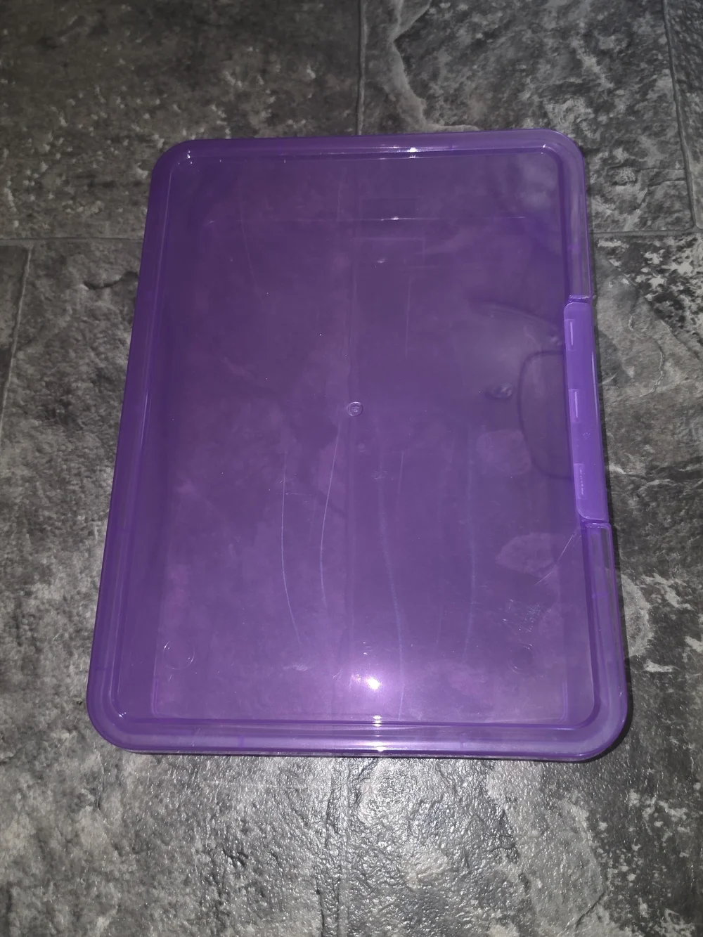 Purple Transparent Plastic Storage Case BNIB